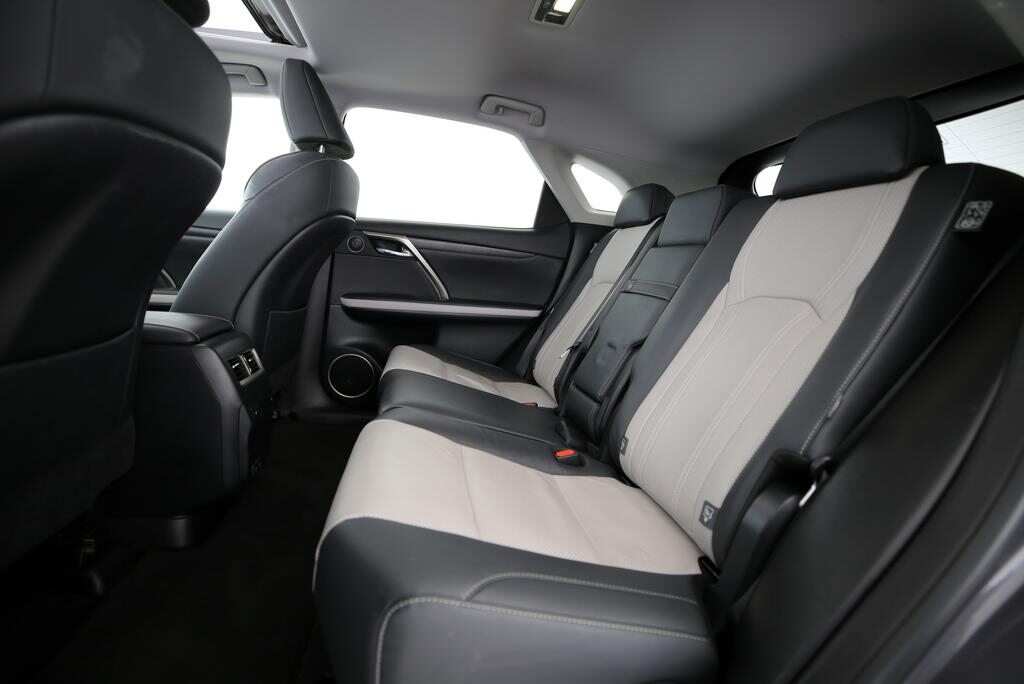 LEXUS RX 300 Special Edition, Benzina, Occasioni / Usate, Automatico - 6