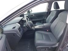 LEXUS RX 300 Spezial Edition, Benzina, Occasioni / Usate, Automatico - 5