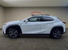 LEXUS UX 300h F-Line, Full-Hybrid Petrol/Electric, New car, Automatic - 2