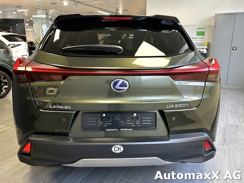LEXUS UX 250h Excellence, Hybride Integrale Benzina/Elettrica, Occasioni / Usate, Automatico - 5