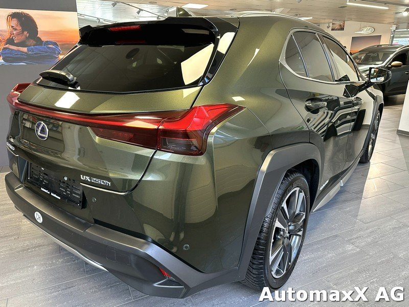 LEXUS UX 250h Excellence, Hybride Integrale Benzina/Elettrica, Occasioni / Usate, Automatico - 6