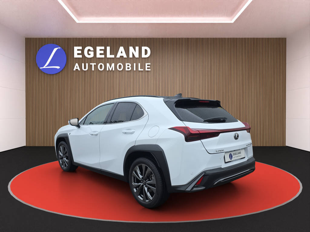 LEXUS UX 250h F-Line, Hybride Intégral Essence/Électricité, Occasion / Utilisé, Automatique - 5