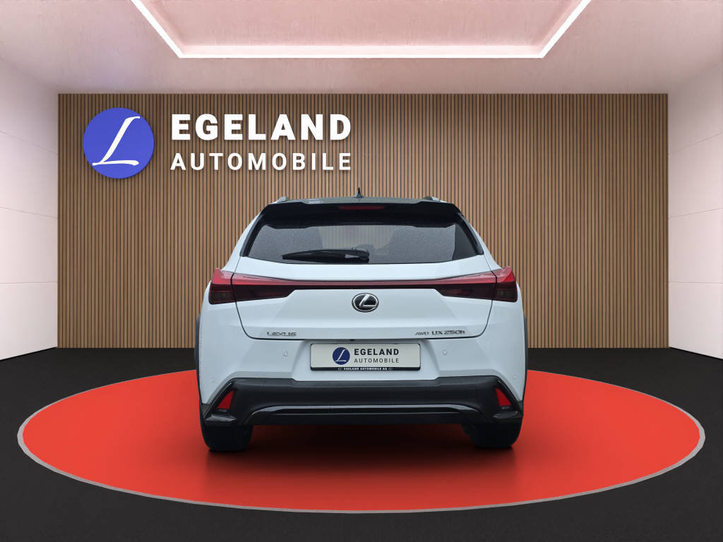 LEXUS UX 250h F-Line, Hybride Intégral Essence/Électricité, Occasion / Utilisé, Automatique - 6