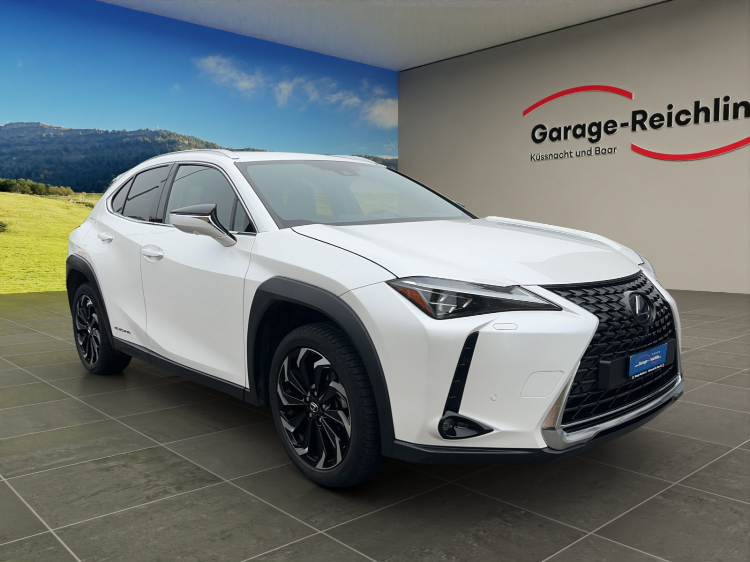 LEXUS UX 300e Excellence, Elektro, Occasion / Gebraucht, Automatik - 7