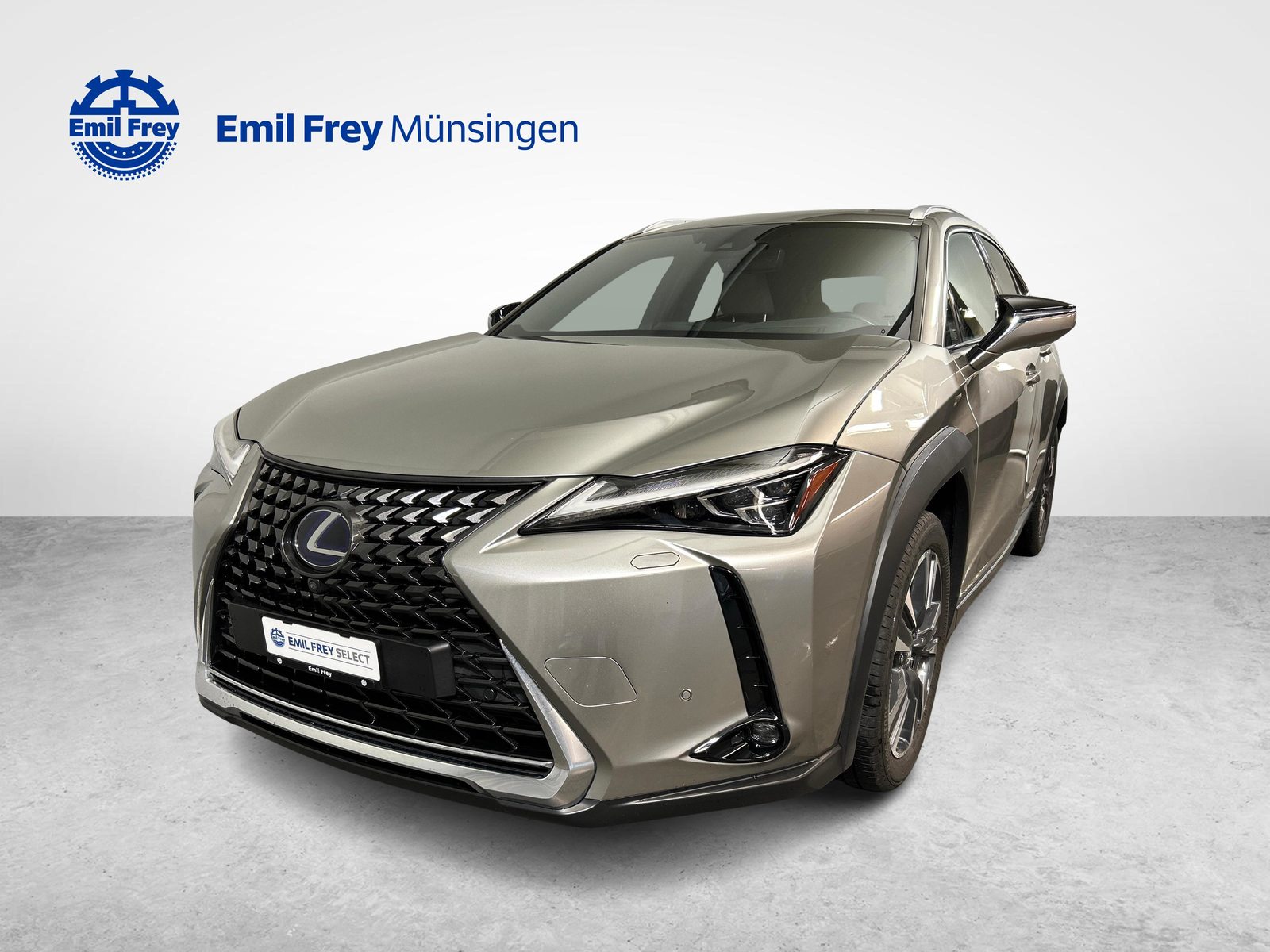 LEXUS UX 250h Excellence