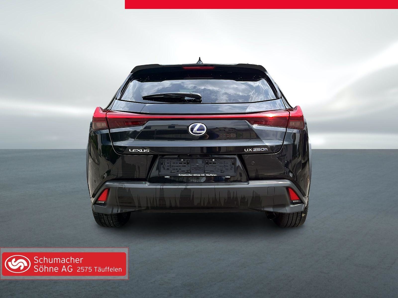 LEXUS UX 250h Comfort, Hybride Intégral Essence/Électricité, Occasion / Utilisé, Automatique - 6