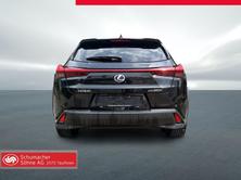 LEXUS UX 250h Comfort, Hybride Intégral Essence/Électricité, Occasion / Utilisé, Automatique - 6
