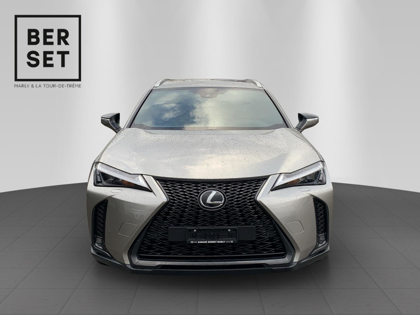 LEXUS UX 250h F-Line, Voll-Hybrid Benzin/Elektro, Occasion / Gebraucht, Automatik - 3