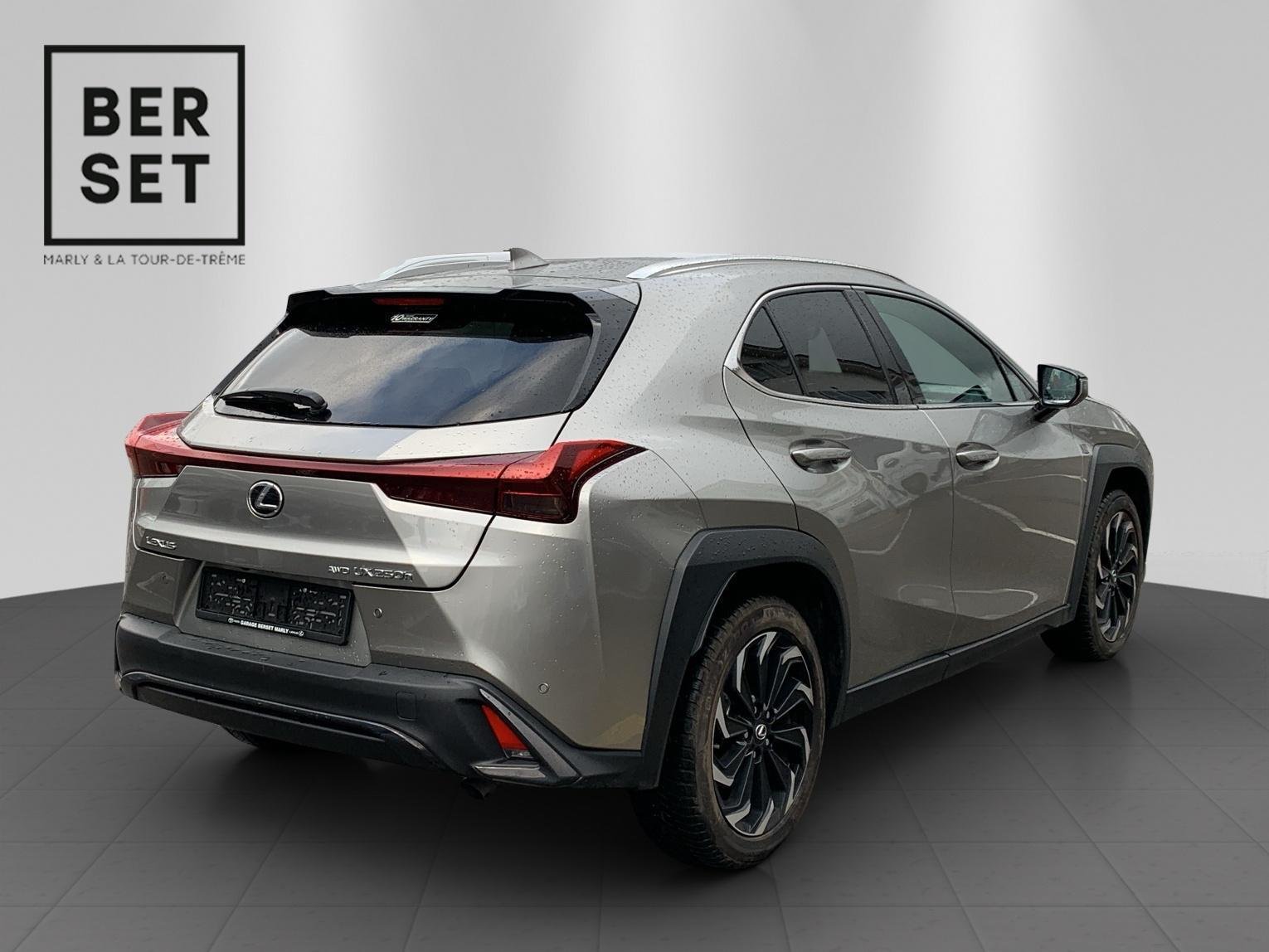 LEXUS UX 250h F-Line, Voll-Hybrid Benzin/Elektro, Occasion / Gebraucht, Automatik - 6