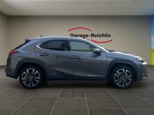 LEXUS UX 250h Excellence, Hybride Intégral Essence/Électricité, Occasion / Utilisé, Automatique - 5