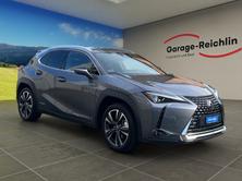 LEXUS UX 250h Excellence, Hybride Intégral Essence/Électricité, Occasion / Utilisé, Automatique - 6