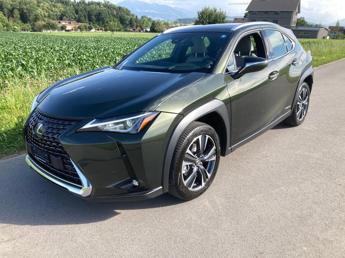 LEXUS UX 250h Impression AWD Automatic, Hybride Integrale Benzina/Elettrica, Occasioni / Usate, Automatico