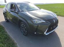 LEXUS UX 250h Impression AWD Automatic, Hybride Integrale Benzina/Elettrica, Occasioni / Usate, Automatico - 2