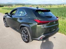 LEXUS UX 250h Impression AWD Automatic, Hybride Integrale Benzina/Elettrica, Occasioni / Usate, Automatico - 4