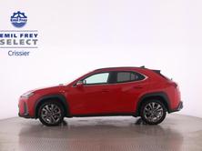 LEXUS UX 250h F-Line, Voll-Hybrid Benzin/Elektro, Occasion / Gebraucht, Automatik - 3