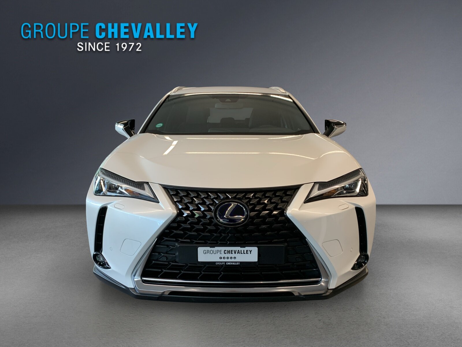 LEXUS UX 300e Impression, Elektro, Occasion / Gebraucht, Automatik - 2