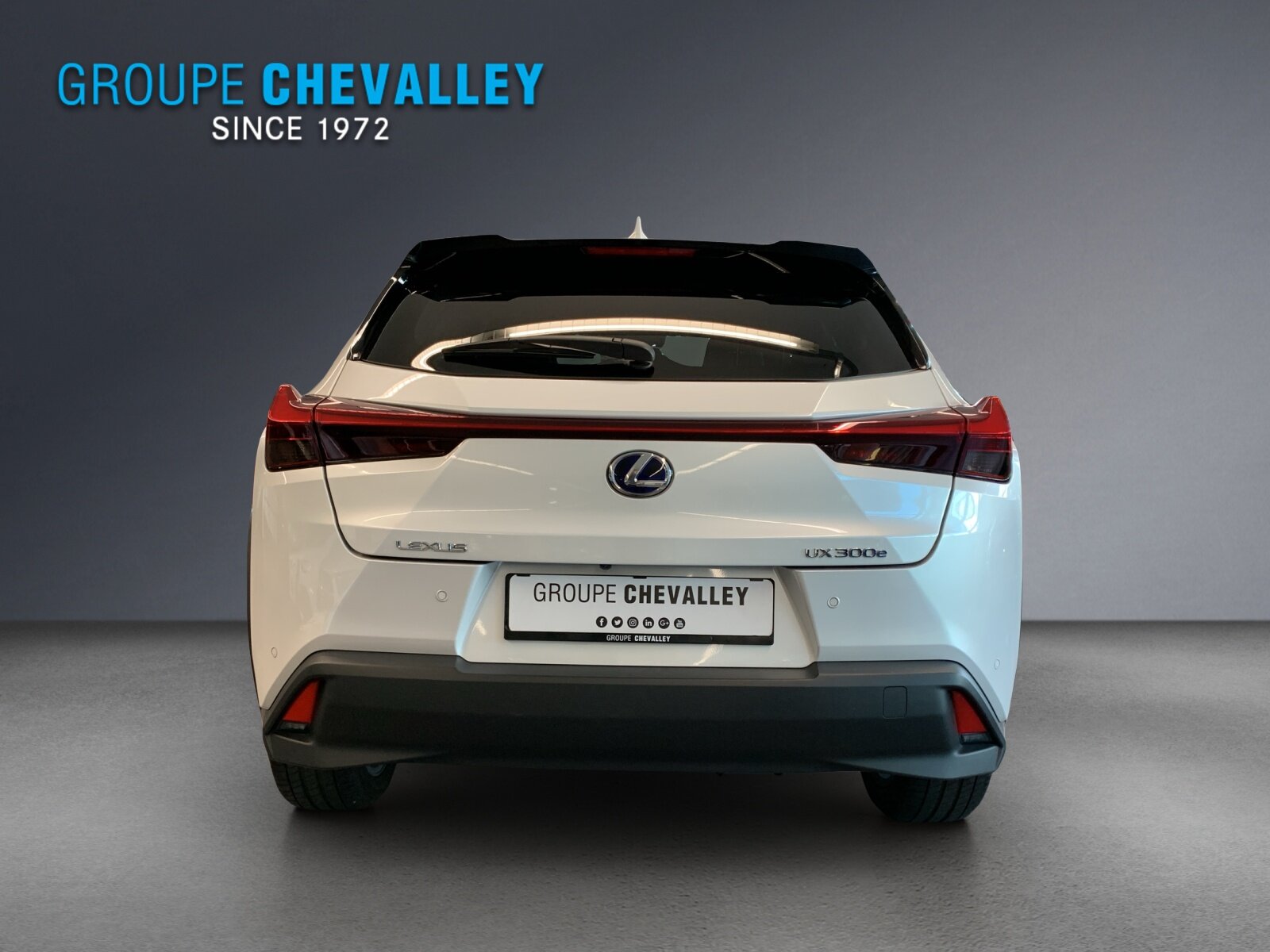LEXUS UX 300e Impression, Elektro, Occasion / Gebraucht, Automatik - 5