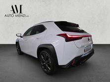 LEXUS UX 300h F-Line, Hybride Integrale Benzina/Elettrica, Occasioni / Usate, Automatico - 5