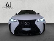 LEXUS UX 300h F-Line, Hybride Integrale Benzina/Elettrica, Occasioni / Usate, Automatico - 7