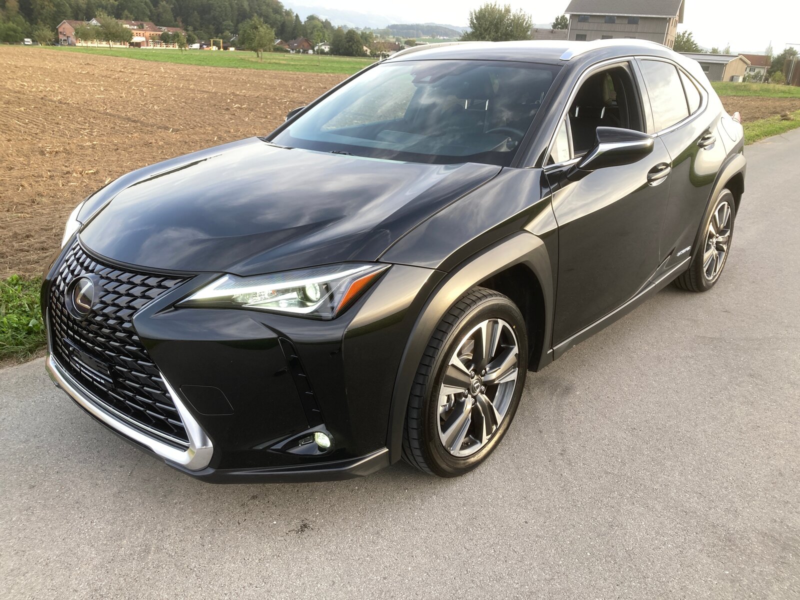 LEXUS UX 250h Excellence AWD Automatic