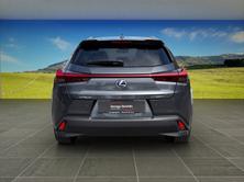LEXUS UX 250h Excellence, Hybride Intégral Essence/Électricité, Occasion / Utilisé, Automatique - 4