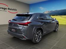 LEXUS UX 250h Excellence, Hybride Intégral Essence/Électricité, Occasion / Utilisé, Automatique - 5