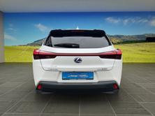 LEXUS UX 300e Excellence, Électrique, Occasion / Utilisé, Automatique - 4