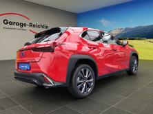 LEXUS UX 250h F-Line, Hybride Intégral Essence/Électricité, Occasion / Utilisé, Automatique - 4