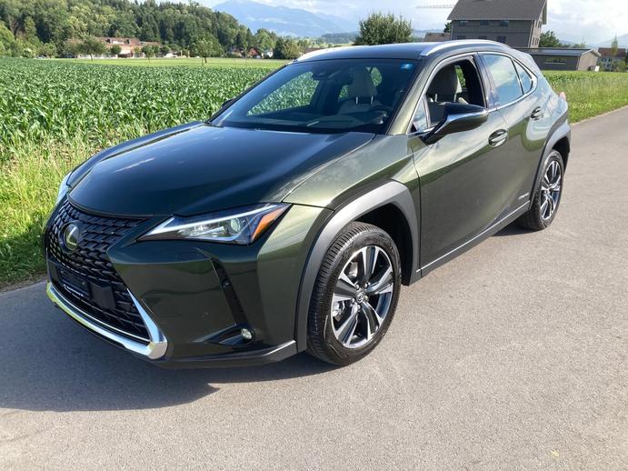 LEXUS UX 250h Impression AWD Automatic, Hybride Integrale Benzina/Elettrica, Occasioni / Usate, Automatico