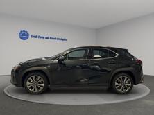 LEXUS UX 300h F-Line, Voll-Hybrid Benzin/Elektro, Occasion / Gebraucht, Automatik - 3