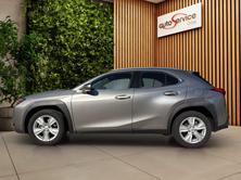 LEXUS 250h Impression FWD, Hybride Integrale Benzina/Elettrica, Occasioni / Usate, Automatico - 3