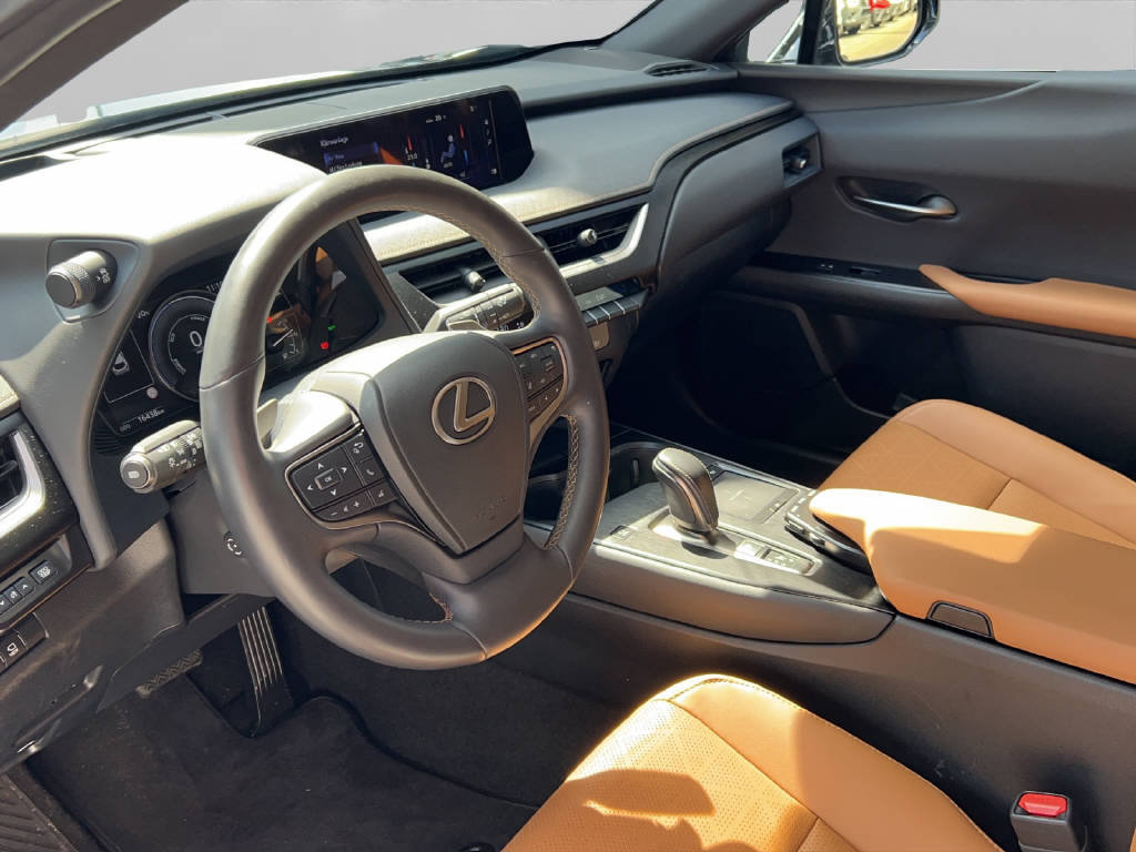 LEXUS UX 300e Excellence 41582/001, Électrique, Voiture de démonstration, Automatique - 4