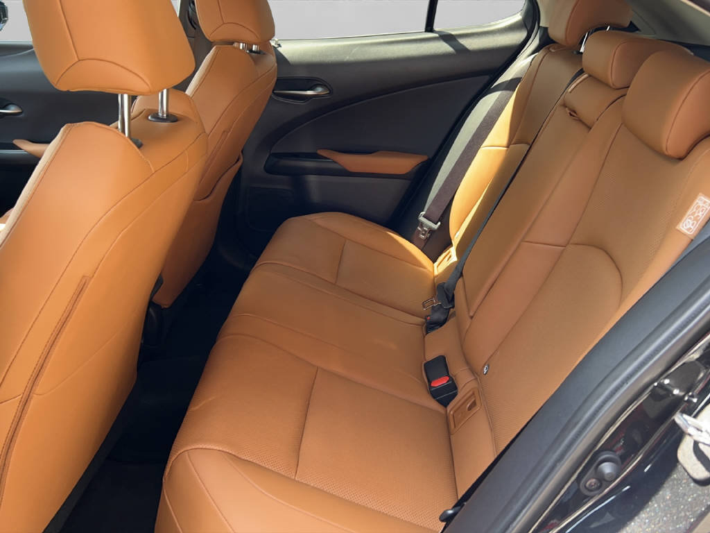 LEXUS UX 300e Excellence 41582/001, Électrique, Voiture de démonstration, Automatique - 5