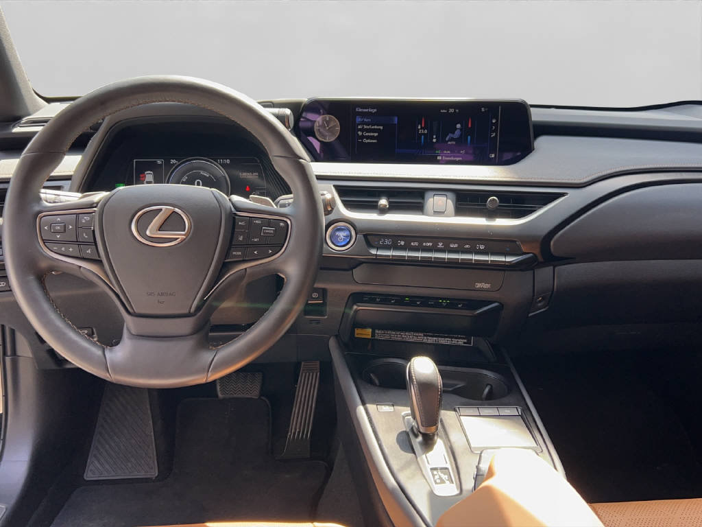 LEXUS UX 300e Excellence 41582/001, Électrique, Voiture de démonstration, Automatique - 6