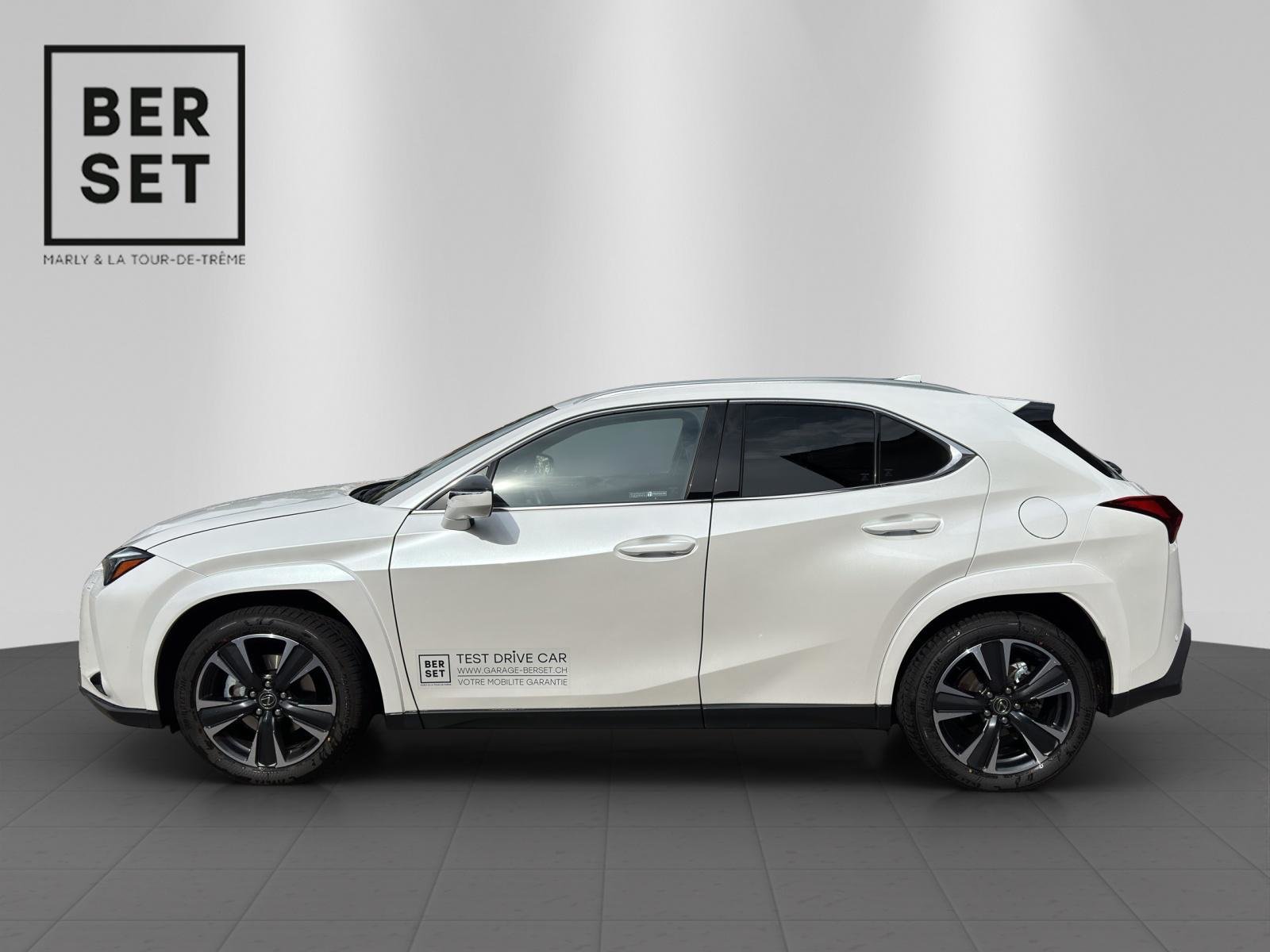 LEXUS UX 300h Excellence, Hybride Integrale Benzina/Elettrica, Auto dimostrativa, Automatico - 2