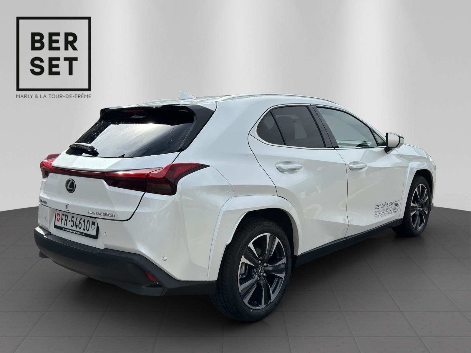 LEXUS UX 300h Excellence, Hybride Integrale Benzina/Elettrica, Auto dimostrativa, Automatico - 5