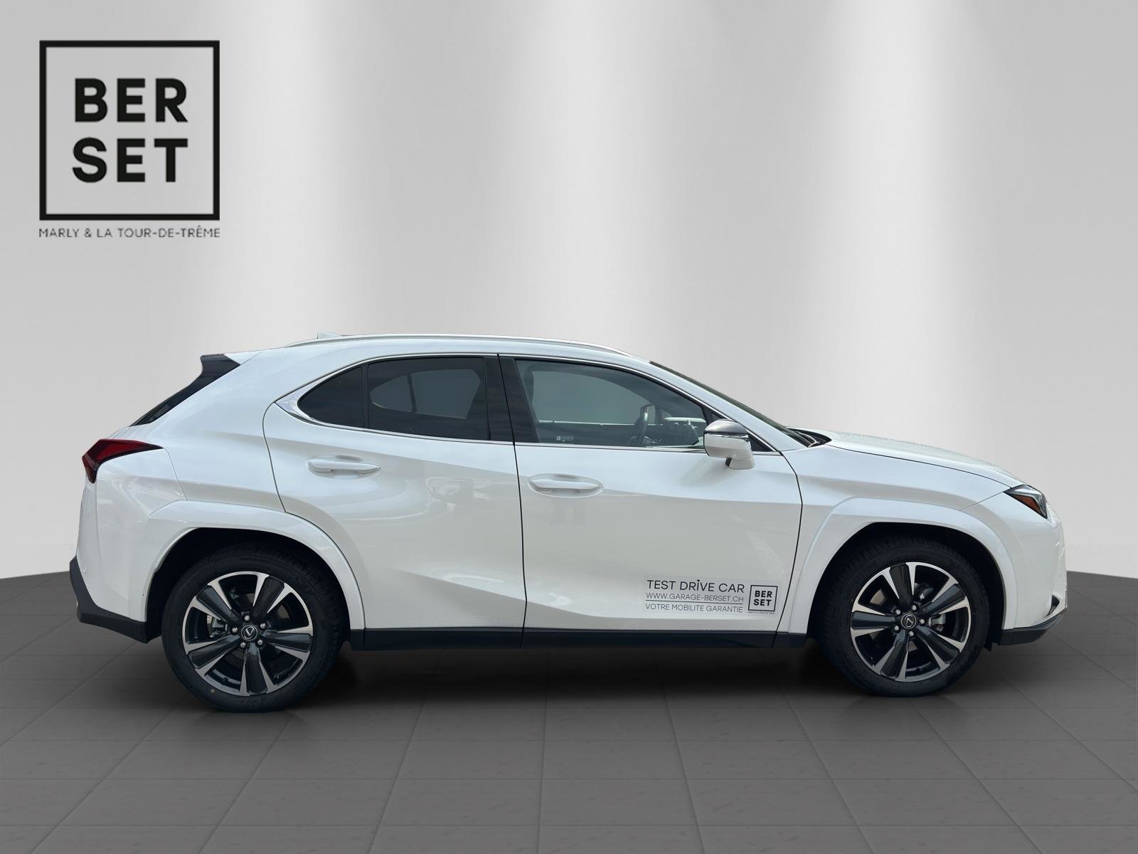 LEXUS UX 300h Excellence, Hybride Integrale Benzina/Elettrica, Auto dimostrativa, Automatico - 6