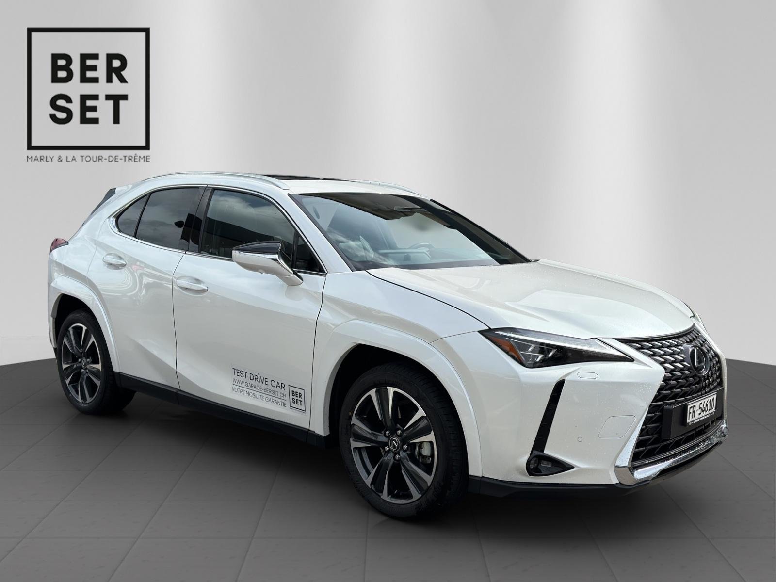 LEXUS UX 300h Excellence, Hybride Integrale Benzina/Elettrica, Auto dimostrativa, Automatico - 7