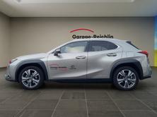 LEXUS UX 300e Excellence, Elettrica, Auto dimostrativa, Automatico - 2