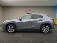 LEXUS UX 300e Excellence, Elektro, Vorführwagen, Automatik - 2