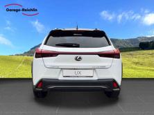 LEXUS UX 250h F-Line AWD, Auto nuove, Automatico - 4