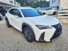 LEXUS UX 250h F-Sport Launch Edition, Voll-Hybrid Benzin/Elektro, Occasion / Gebraucht, Automat - 3
