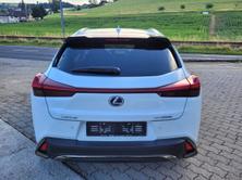 LEXUS UX 250h F-Sport Launch Edition, Voll-Hybrid Benzin/Elektro, Occasion / Gebraucht, Automat - 6