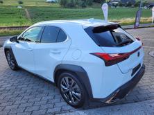 LEXUS UX 250h F-Sport Launch Edition, Voll-Hybrid Benzin/Elektro, Occasion / Gebraucht, Automat - 7