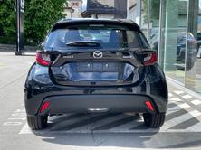 MAZDA 2 Hybrid Exclusive-Line, Petrol, New car, Automatic - 5