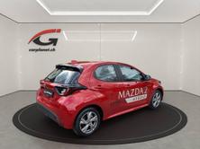MAZDA 2 1.5 Hybrid Exclusive-Line, Hybride Integrale Benzina/Elettrica, Auto dimostrativa, Automatico - 5