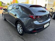 MAZDA 3 Hatchback SKYACTIV-X M Hybrid 186 Homura Automat, Mild-Hybrid Benzin/Elektro, Occasion / Gebraucht, Automatik - 6