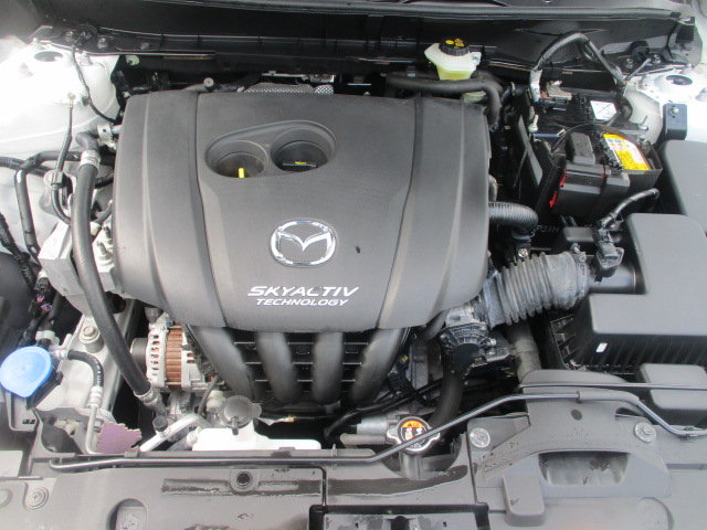 MAZDA CX-3 2.0 Ambition Plus, Benzina, Occasioni / Usate, Manuale - 7