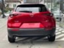 MAZDA CX-30 SKYACTIV-X 186 M Hybrid Homura AWD AT, Petrol, New car, Automatic - 5