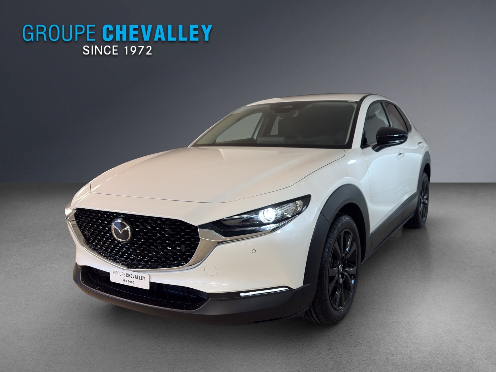 MAZDA CX-30 SKYACTIV-G 140 M Hybrid Homura FWD AT